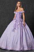 Juliet 1433 Dress Quinceanera Ball Gown 3D Floral Embroidered