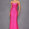  Fuchsia