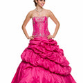  Fuchsia