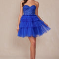  Royal Blue
