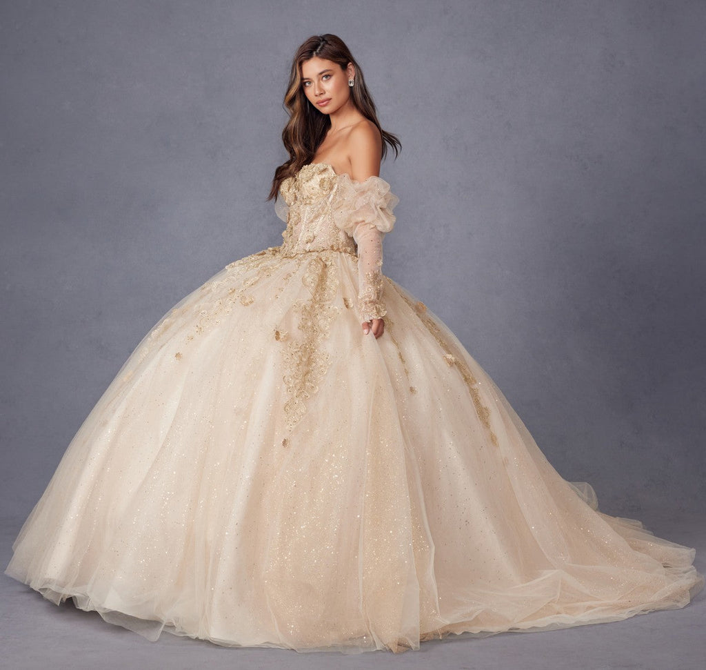 Juliet JT1465H Dress 3d Flowers Applique Puff Sleeve Quinceanera Dress