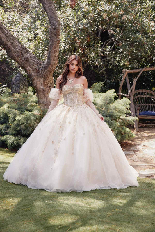 Juliet JT1465H Dress 3d Flowers Applique Puff Sleeve Quinceanera Dress