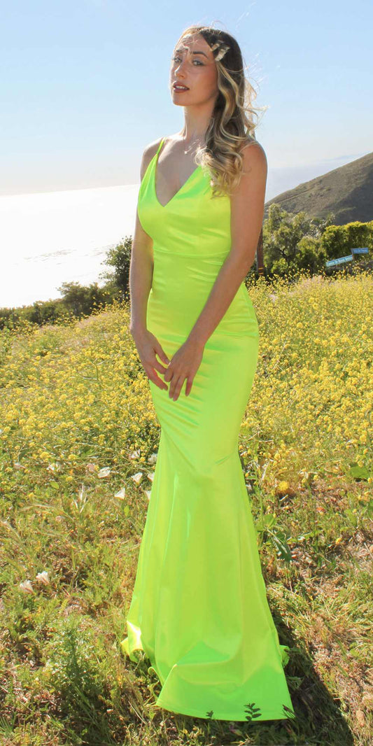 Astee SE016 Long Fitted Semi Formal Gown by Cinderella Divine