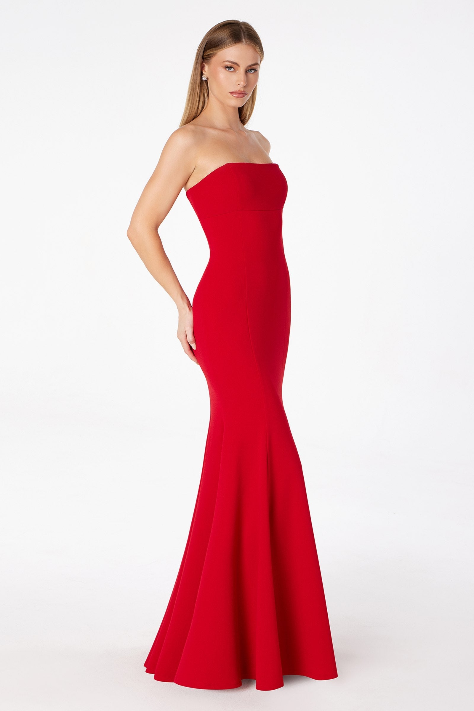 Astee T2010 Fitted Strapless Mermaid Gown
